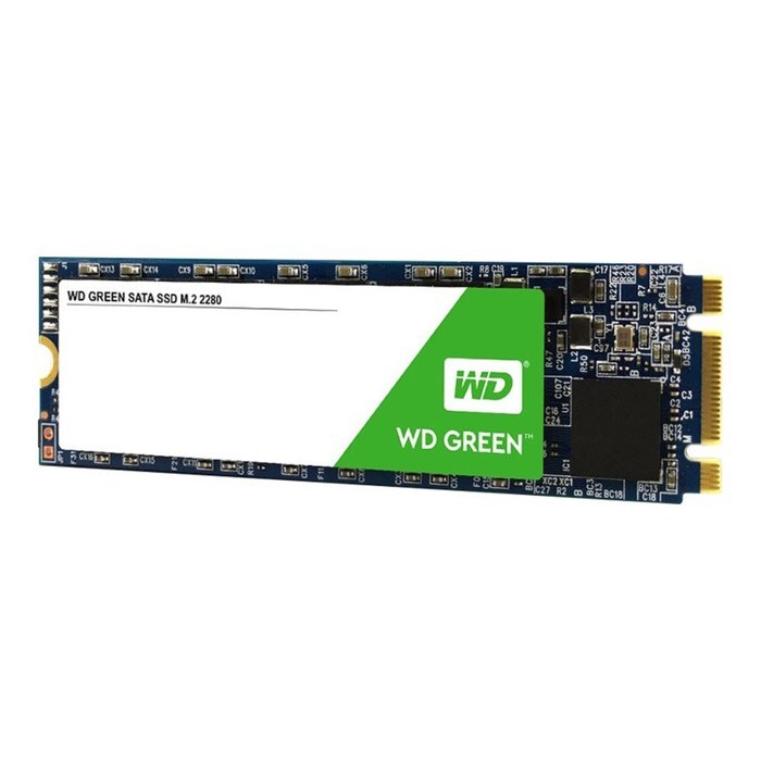 Накопитель SSD WD Original M.2 2280 WDS480G2G0B, 480Гб, SATA III, зеленый - фото 51368107