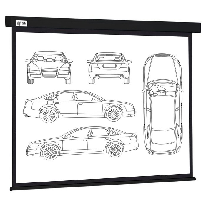 Экран Cactus 213x213см CS-PSW-213X213-BK, 1:1, настенно-потолочный, рулонный, черный - фото 51374532