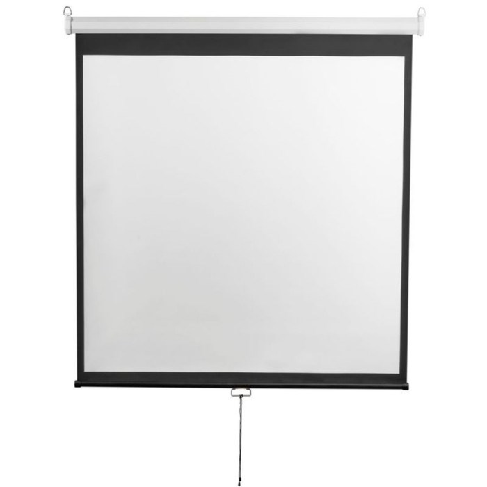 Экран 240x240 см, Digis Optimal-D DSOD-1107, 1:1, настенно-потолочный, рулонный - фото 51374736