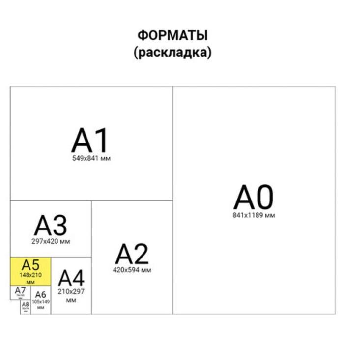 Бумага А5 500 л, DOUBLE A, 80 г/м2, белизна 163% CIE, класс А+ - фото 51385224