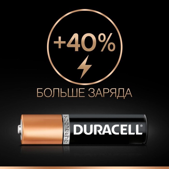 Батарейка алкалиновая Duracell Basic, AAA, LR03-2BL, 1.5В, блистер, 2 шт. - фото 51386836