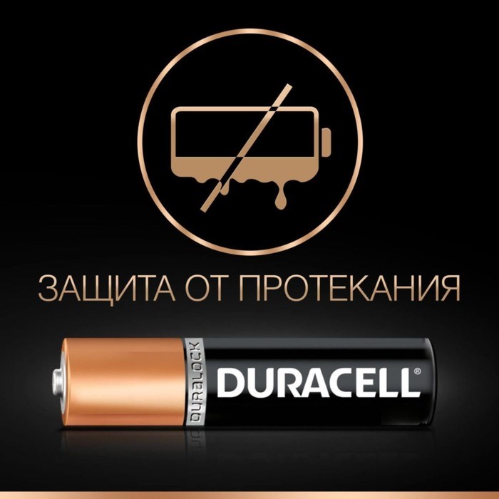 Батарейка алкалиновая Duracell Basic, AAA, LR03-2BL, 1.5В, блистер, 2 шт. - фото 51386837