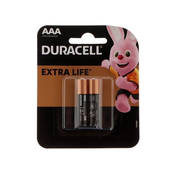 Батарейка алкалиновая Duracell Basic, AAA, LR03-2BL, 1.5В, блистер, 2 шт. - фото 51386840