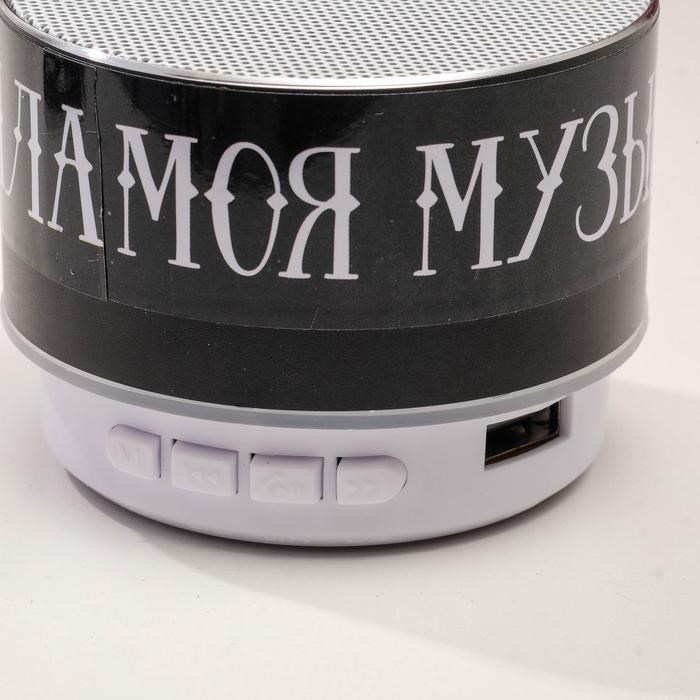 Новогодняя портативная колонка «Моя музыка - мои правила», Bluetooth, USB, 6,9 х 6,9 х 5,2 - фото 51390043