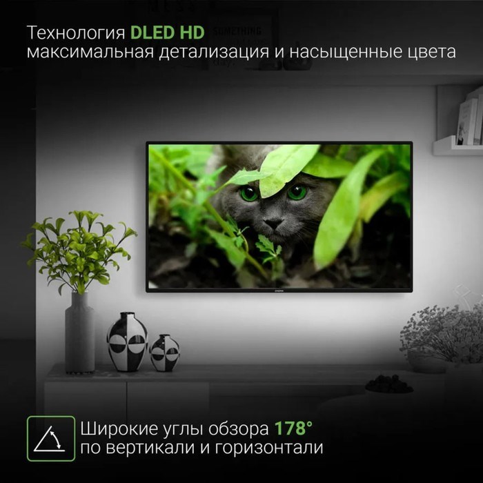 Телевизор Digma DM-LED43SBB31, 43", 1920x1080, DVB-T/T2/C/S/S2, HDMI 3, USB 2, Smart TV - фото 51398524