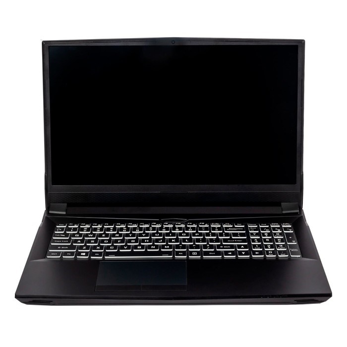 Ноутбук Hiper G16 Core i7 11700 32Gb SSD1Tb NVIDIA GeForce RTX 3070 8Gb 16.1" IPS FHD (1920x   10045 - фото 51420976