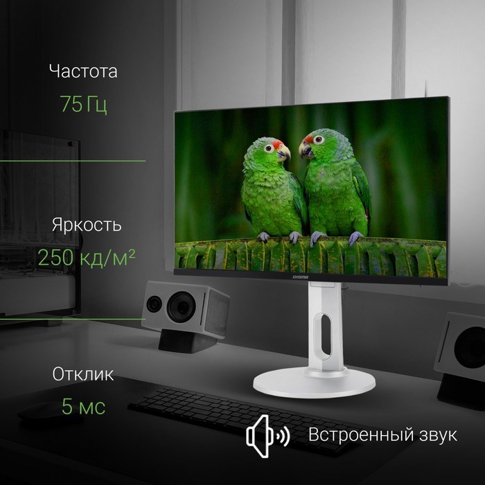 Монитор Digma 23.8" DM-MONB2408 черный IPS LED 5ms 16:9 HDMI M/M матовая HAS Piv 250cd 178гр   10046 - фото 51427133