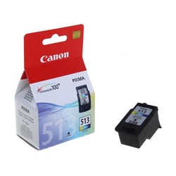 Картридж струйный Canon CL-513 2971B007 многоцветный для Canon MP240/MP260/MP480 - фото 51363977