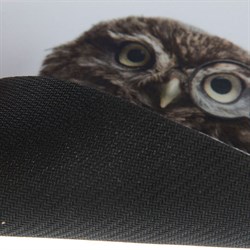 Коврик для мыши Defender Wild Animals 220x180x2 мм, МИКС - фото 51364727