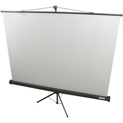 Экран Lumien 160×160 Eco View LEV-100105, 1:1, напольный, рулонный - фото 51366194