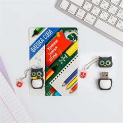 Флешка «Сова», 4 Gb - фото 51370072