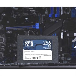 Накопитель SSD Patriot P210S256G25 P210, 256 Гб, SATA III, 2.5" - фото 51372191