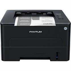 Принтер лазерный Pantum P3020D, A4, чёрно-белый, двусторонняя печать - фото 51373485