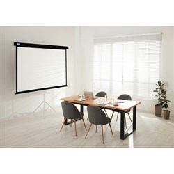 Экран Cactus CS-PSW-180×180-BK, 180×180 см, 1:1, настенно-потолочный, рулонный, чёрный - фото 51374463