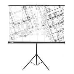 Экран Cactus 127x127см CS-PST-127X127, 1:1, напольный, рулонный, черный - фото 51374523