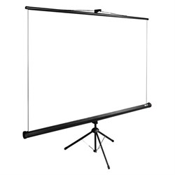 Экран Cactus 150x200см CS-PSTE-200x150-BK, 4:3, напольный, рулонный, черный - фото 51374528