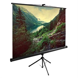 Экран Cactus 220x220см CS-PSTE-220x220-BK, 1:1, напольный, рулонный, черный - фото 51374551