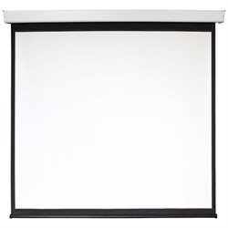 Экран 240x240 см, Digis Electra-F DSEF-1108, 1:1, настенно-потолочный, рулонный, привод - фото 51374716