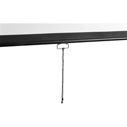 Экран 229x308 см, Digis Optimal-D DSOD-4306, 4:3, настенно-потолочный, рулонный - фото 51374720