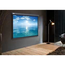 Экран Cactus CS-PSW-104×186-SG, настенно-потолочный рулонный, 104.6×186 см, 16:9, серый - фото 51377155