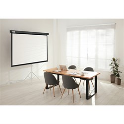Экран Cactus CS-PSW-104×186-SG, настенно-потолочный рулонный, 104.6×186 см, 16:9, серый - фото 51377156