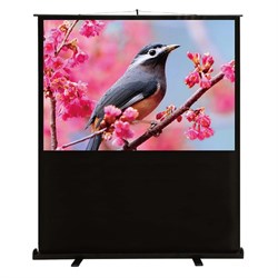 Экран Cactus CS-PSFLCE-120×90, напольный рулонный, 90×120 см, 4:3 - фото 51377182