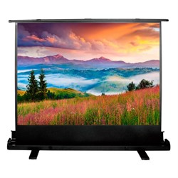 Экран Cactus 68x120см CS-PSFLE-120X68, 16:9, напольный, рулонный - фото 51377219