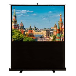 Экран Cactus CS-PSFLCE-200×150, напольный рулонный, 150×200 см, 4:3 - фото 51377230