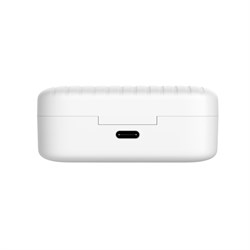 Наушники Canyon TWS-1, вакуумные, микрофон, 45/300 мАч, handsfree, IPX4, белые - фото 51381240