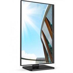 Монитор AOC  Pro 24P2C, 23.8", IPS, 1920x1080, 75Гц, 4 мс, HDMI, DP, чёрный - фото 51383785