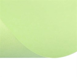 Бумага цветная А4, 50 листов Calligrata Пастель, зелёная, 80 г/м² - фото 51385022
