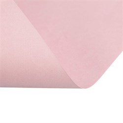 Бумага цветная А3, 50 листов Calligrata Пастель, 5 цветов, 80 г/м² - фото 51385034