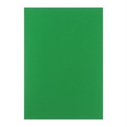 Бумага цветная Calligrata, А4, 50 листов, зелёная, неоновая, 80 г/м² - фото 51385267