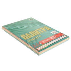 Бумага цветная А4, «Палитра», 100 листов, интенсив, 160 г/м², 5 цветов - фото 51385377