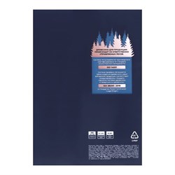 Бумага А4 500л PROJECTA SPECIAL, 80г/м2, белизна 162% CIE, класс В - фото 51385506