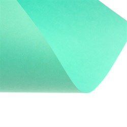 Бумага цветная А4 250 листов Calligrata Умеренный интенсив, 5 цветов 80г/м2, АМБАЛАЖ - фото 51385550