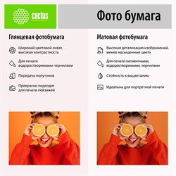 Фотобумага для струйной печати А6, 500 листов Cactus, 180 г/м2, односторонняя, глянцевая - фото 51385657