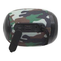 Портативная колонка Borofone R6, 10 Вт, BT5.0, AUX, FM, microSD, USB, 1200 мАч, цвет хаки - фото 51392724