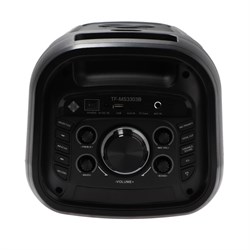 Портативная колонка Telefunken TF-MS3303, 90 Вт, 5000 мАч, TWS, AUX, FM, дисплей, подсветка - фото 51395048