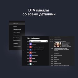 Телевизор Starwind SW-LED43UG400, 43", 3840×2160, DVB/T2/C/S/S2, HDMI×3, USB, Smart TV, серый - фото 51397160