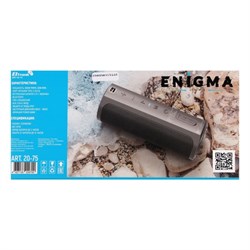 Портативная колонка ELTRONIC ENIGMA, 50 Вт, 6600мАч, microSD, BT, AUX, TWS, IPX7, функция PB - фото 51398227