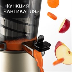 Соковыжималка REDMOND RJ-930S, шнековая, 400 Вт, 0.6/0.6 л, 55 об/мин, шампань - фото 51404601