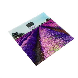 Весы напольные HOMESTAR HS-6001G, электронные, до 180 кг, 1хCR2032, стекло, фиолетовые - фото 51413677