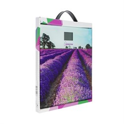 Весы напольные HOMESTAR HS-6001G, электронные, до 180 кг, 1хCR2032, стекло, фиолетовые - фото 51413681