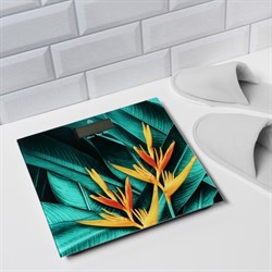 Весы напольные Luazon LVE-014 "Тропики", электронные, до 180 кг, 2хAAА (не в комплекте) - фото 51414243