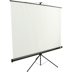 Экран Lumien 200x200 Eco View LEV-100103 1:1, напольный, рулонный - фото 51416024