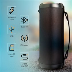 Колонка портативная Digma D-PS1520, 16 Вт, 1.0 BT, 10 м, 1500mAh, чёрная (SP1520B) - фото 51417207