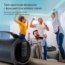 Колонка портативная Digma D-PS1520, 16 Вт, 1.0 BT, 10 м, 1500mAh, чёрная (SP1520B) - фото 51417209