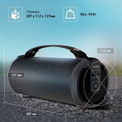Колонка портативная Digma D-PS1520, 16 Вт, 1.0 BT, 10 м, 1500mAh, чёрная (SP1520B) - фото 51417213