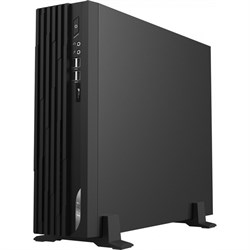 ПК Мини MSI Pro DP130 12RK-474RU i5 12400F (2.5) 8Gb SSD512Gb GTX1030 2Gb Windows 11 Profess   10045 - фото 51420316